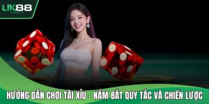 Hướng dẫn chơi tài xỉu