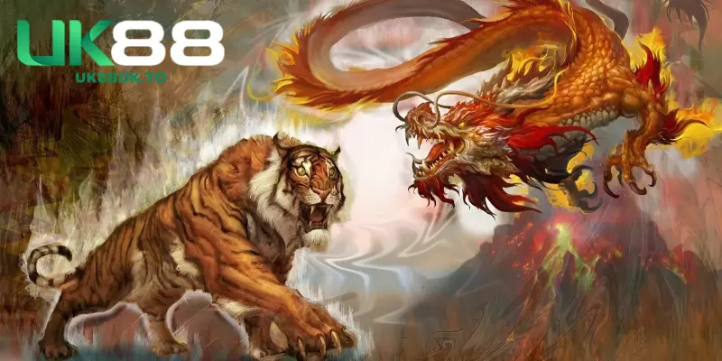 Quy tắc đặt cược trong cách chơi rồng hổ